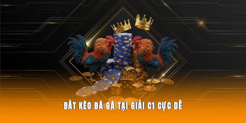 Bắt kèo đá gà tại giải C1 cực dễ