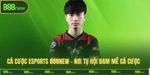 cá cược esport 888New