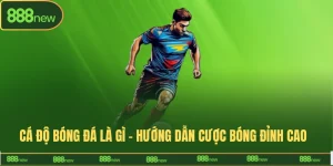 cá độ bóng đá là gì