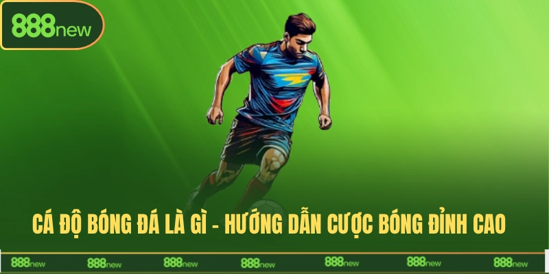 cá độ bóng đá là gì