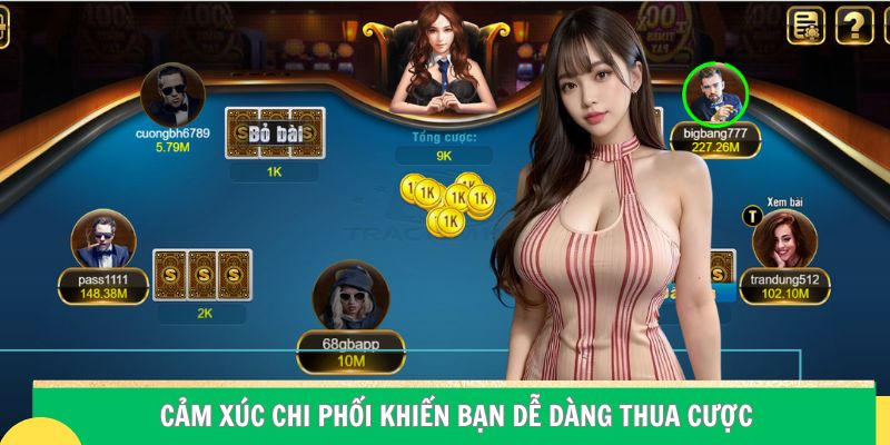 5 bước chơi bài Trác Kim Hoa cho người mới tham khảo