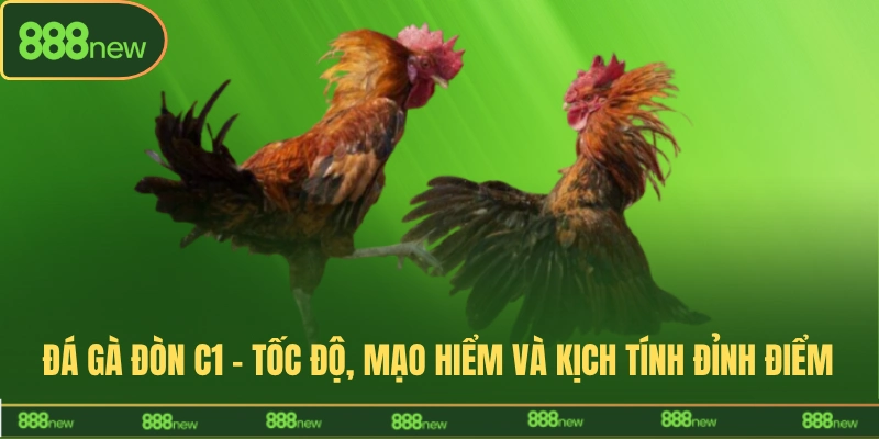 đá gà đòn c1