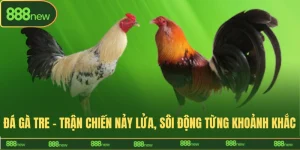 đá gà tre