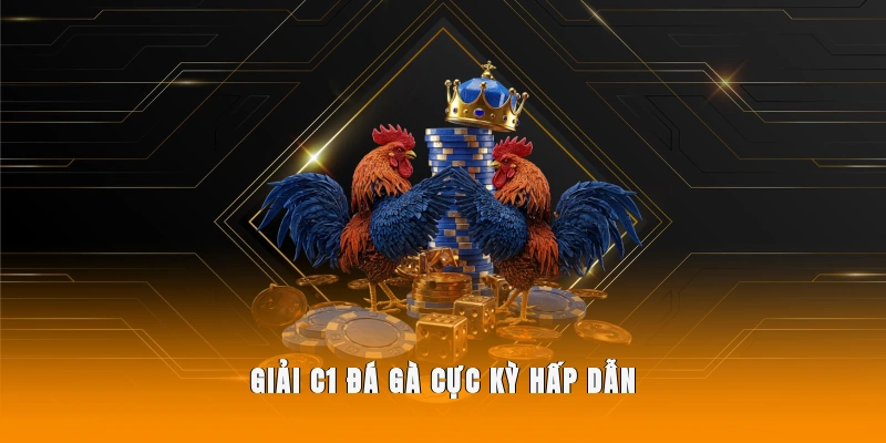 Giải C1 đá gà hấp dẫn, quy tụ những sư kê tài năng