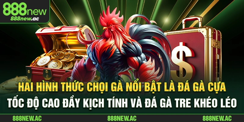 Hai hình thức chọi gà nổi bật là đá gà cựa tốc độ cao đầy kịch tính và đá gà tre khéo léo