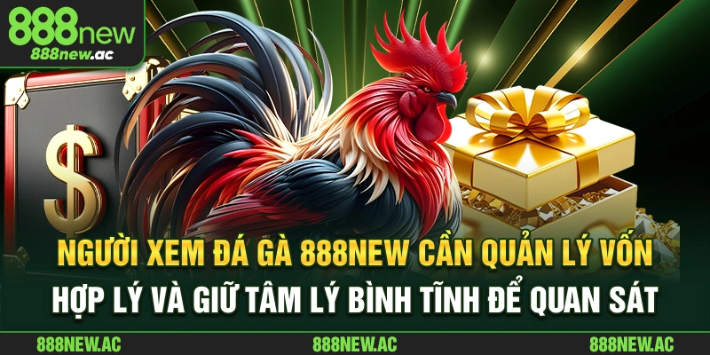 Người xem đá gà 888New cần quản lý vốn hợp lý và giữ tâm lý bình tĩnh để quan sát