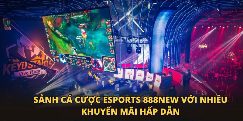 Sảnh cá cược eSports 888New với nhiều khuyến mãi hấp dẫn